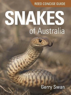Reed Concise Guide: Snakes of Australia