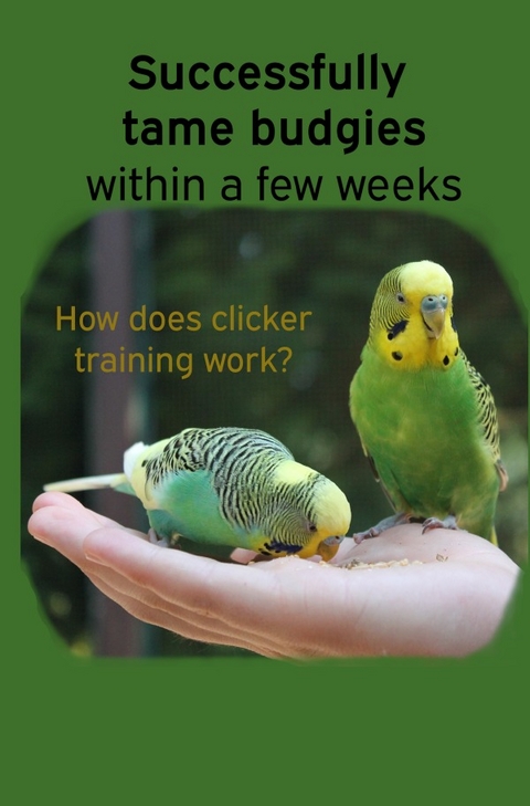 Successfully tame budgies within a few weeks - Thorsten Hawk