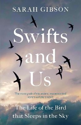 Swifts and Us