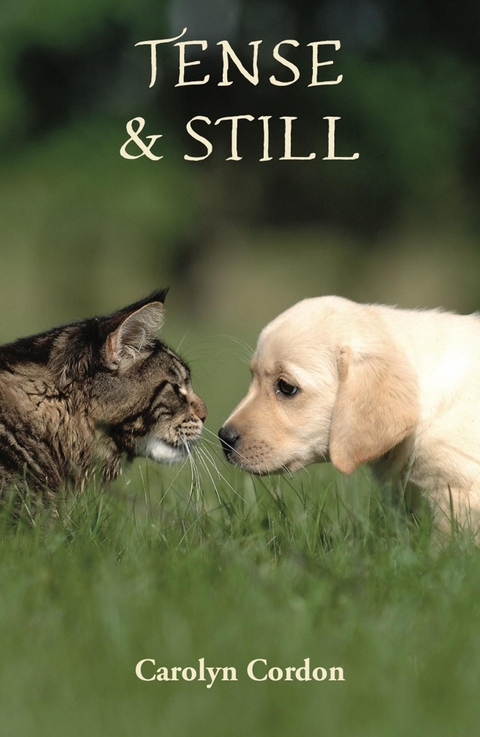 Tense & Still - Carolyn Cordon