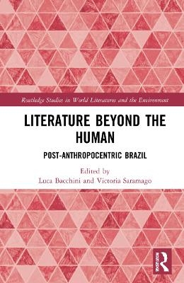 Literature Beyond the Human