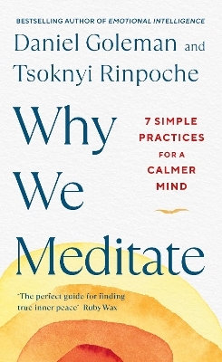 Why We Meditate