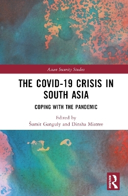 The Covid-19 Crisis in South Asia