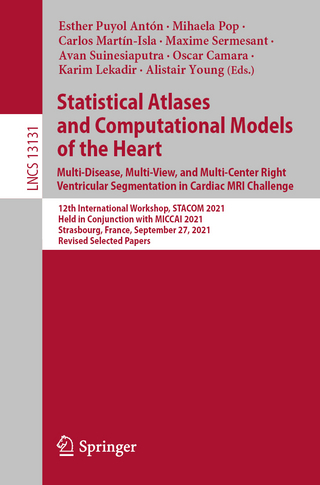 Statistical Atlases and Computational Models of the Heart. Multi-Disease, Multi-View, and Multi-Center Right Ventricular Segmentation in Cardiac MRI Challenge