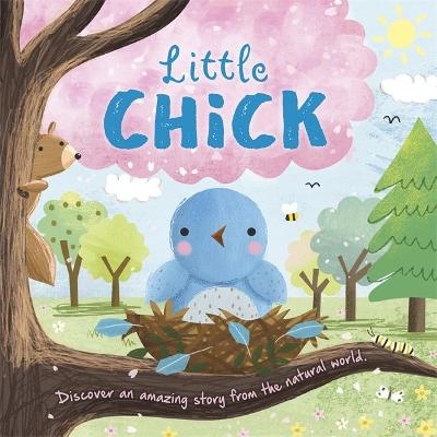 Little Chick -  Igloo Books Ltd