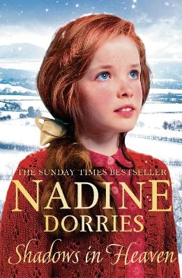 Shadows in Heaven - Nadine Dorries