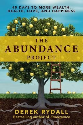 The Abundance Project - Derek Rydall