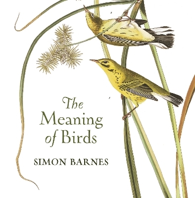 The Meaning of Birds - Simon Barnes