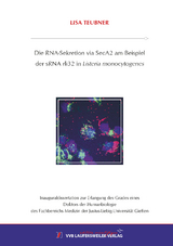 Die RNA-Sekretion via SecA2 am Beispiel der sRNA rli32 in Listeria monocytogenes - Lisa Teubner