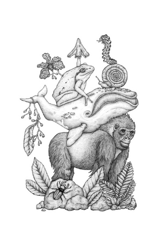 Notizbücher liniert, Taschenbuchformat / Notizbuch 