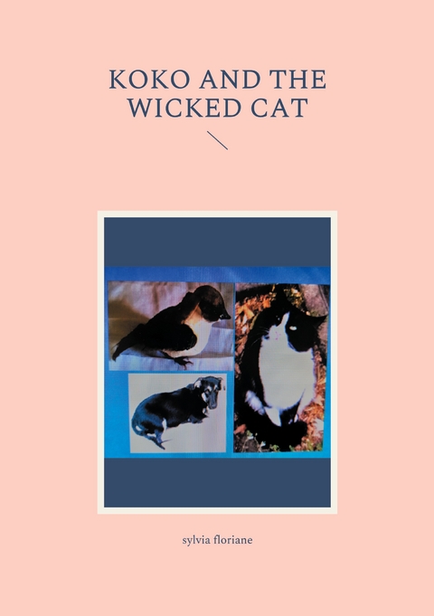 Koko and the wicked cat - Sylvia Floriane
