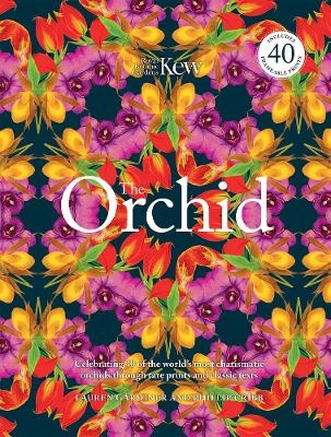The Orchid