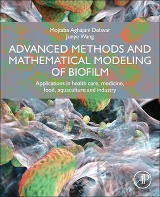 Advanced Methods and Mathematical Modeling of Biofilms