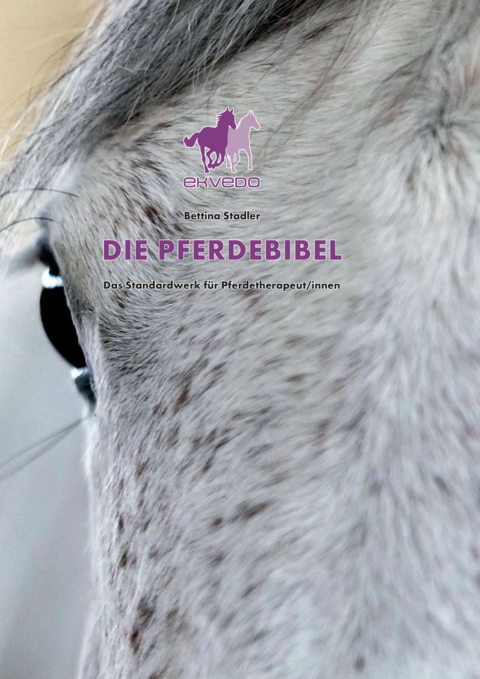 DIE PFERDEBIBEL - Bettina Stadler