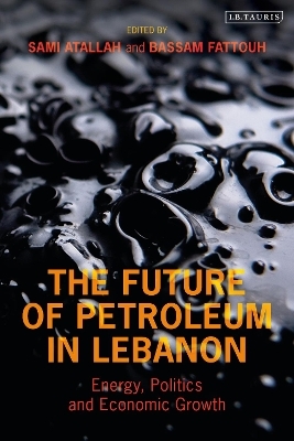 The Future of Petroleum in Lebanon - 
