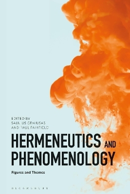 Hermeneutics and Phenomenology - 