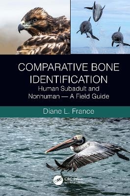 Comparative Bone Identification - Diane L. France