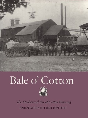 Bale O' Cotton - Karen Gerhardt Britton Fort