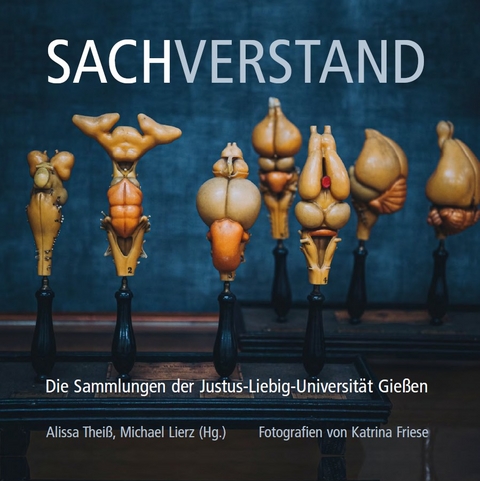 Sachverstand - 
