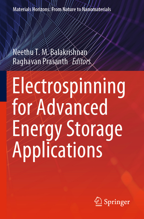 Electrospinning for Advanced Energy Storage Applications - 