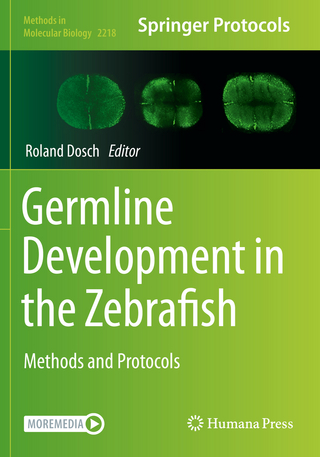 Germline Development in the Zebrafish