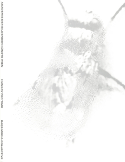 Raqs Media Collective. Hungry for Time - Ingeborg Erhart, Johan Hartle