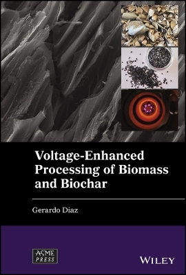 Voltage-Enhanced Processing of Biomass and Biochar - Gerardo Diaz