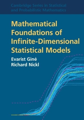 Mathematical Foundations of Infinite-Dimensional Statistical Models - Evarist Gin&eacute;, Richard Nickl