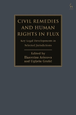 Civil Remedies and Human Rights in Flux