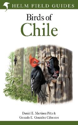 Field Guide to the Birds of Chile - Daniel E. Mart&iacute;nez Pi&ntilde;a, Gonzalo E. Gonz&aacute;lez Cifuentes