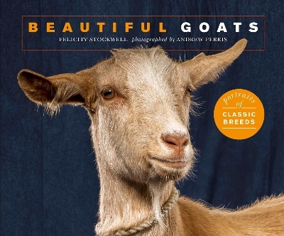Beautiful Goats - Felicity Stockwell
