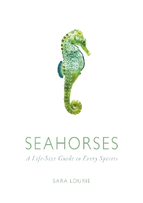 Seahorses - Sara Lourie