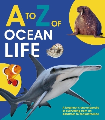 to Z of Ocean Life -  words &  pictures