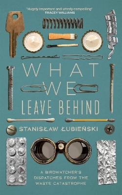 What We Leave Behind - Stanislaw Lubienski