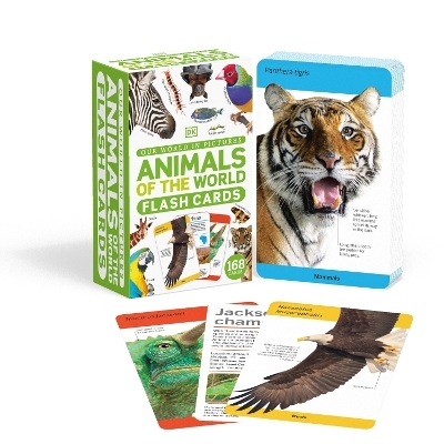 Our World in Pictures Animals of the World Flash Cards -  Dk