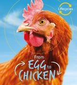 Lifecycles: Egg to Chicken - de la Bedoyere, Camilla