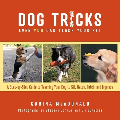 Dog Tricks Even You Can Teach Your Pet - Carina Macdonald