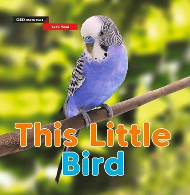 Let's Read: This Little Bird - Sasha Morton
