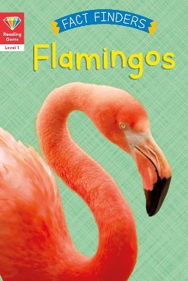 Reading Gems Fact Finders: Flamingos (Level 1) - Katie Woolley