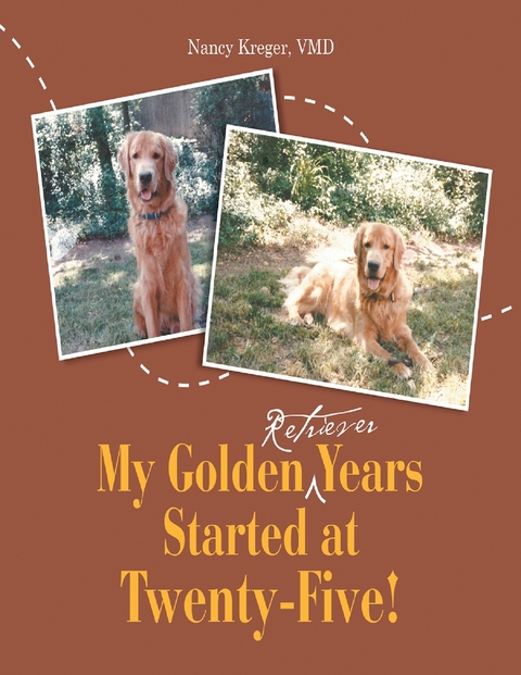 My Golden Retriever Years Started At Twenty-Five! -  VMD Nancy Kreger