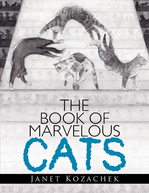 Book of Marvelous Cats -  Janet Kozachek