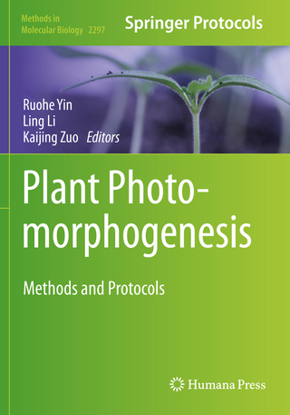 Plant Photomorphogenesis