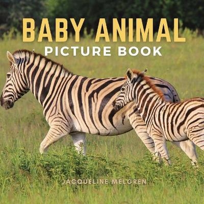 Baby Animal Picture Book - Jacqueline Melgren