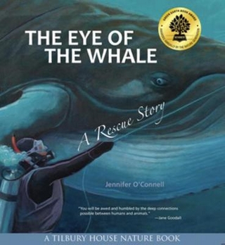 The Eye of the Whale
