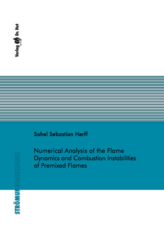 Numerical Analysis of the Flame Dynamics and Combustion Instabilities of Premixed Flames