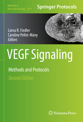 VEGF Signaling