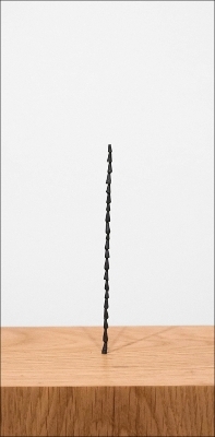 Shilpa Gupta: Sun at Night