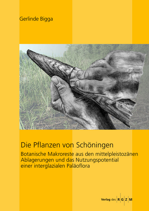 Die Pflanzen von Sch&ouml;ningen - Gerlinde Bigga
