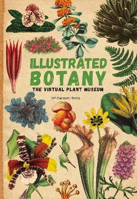 Illustrated Botany - Carmen Soria