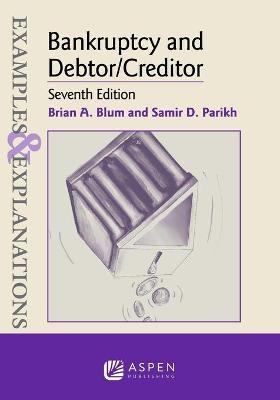 Examples & Explanations for Bankruptcy and Debtor/Creditor